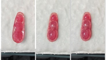 老坑翡翠江翡福豆A货